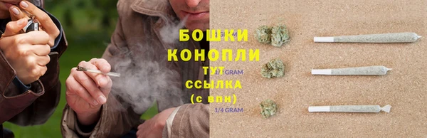 мет Ладушкин