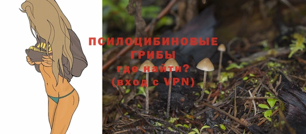 прущий лед Абдулино