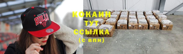 твердый Абаза