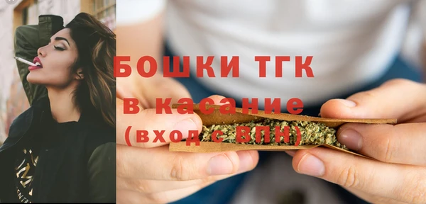 твердый Абаза