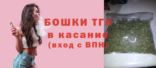 твердый Абаза
