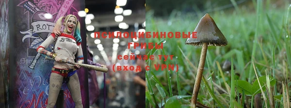 кокс Абинск