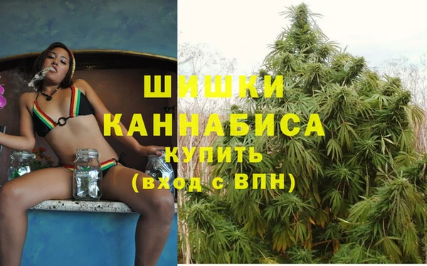 твердый Абаза