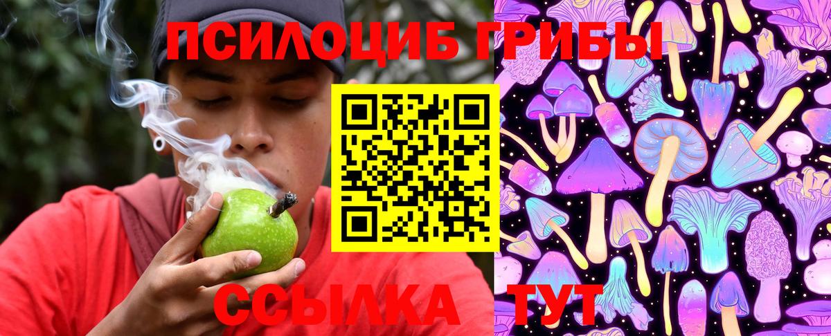 где продают наркотики  Галлюциногенные грибы Magic Shrooms  Вход с VPN  Ялуторовск 